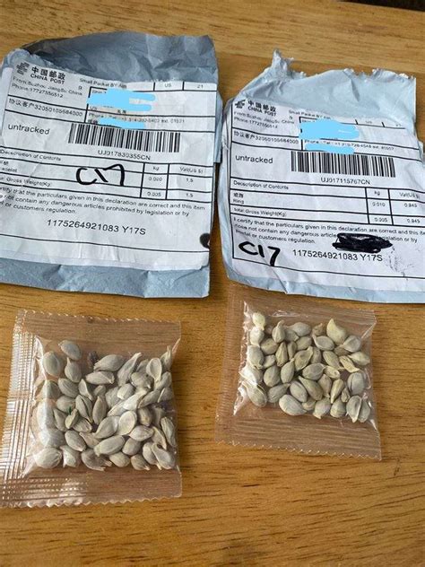 what are the seed packets from china